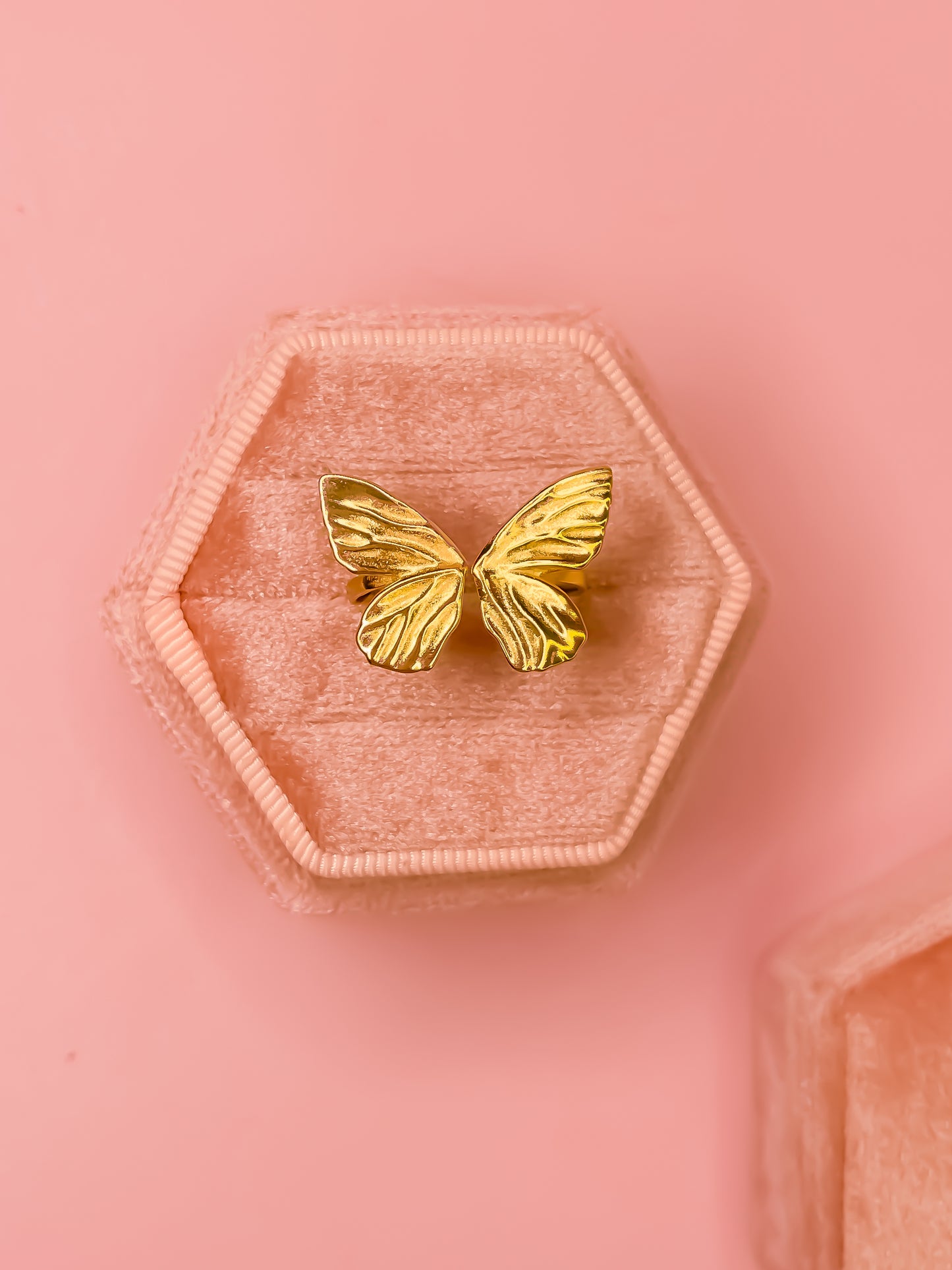 Anillo Mariposa Plata 925