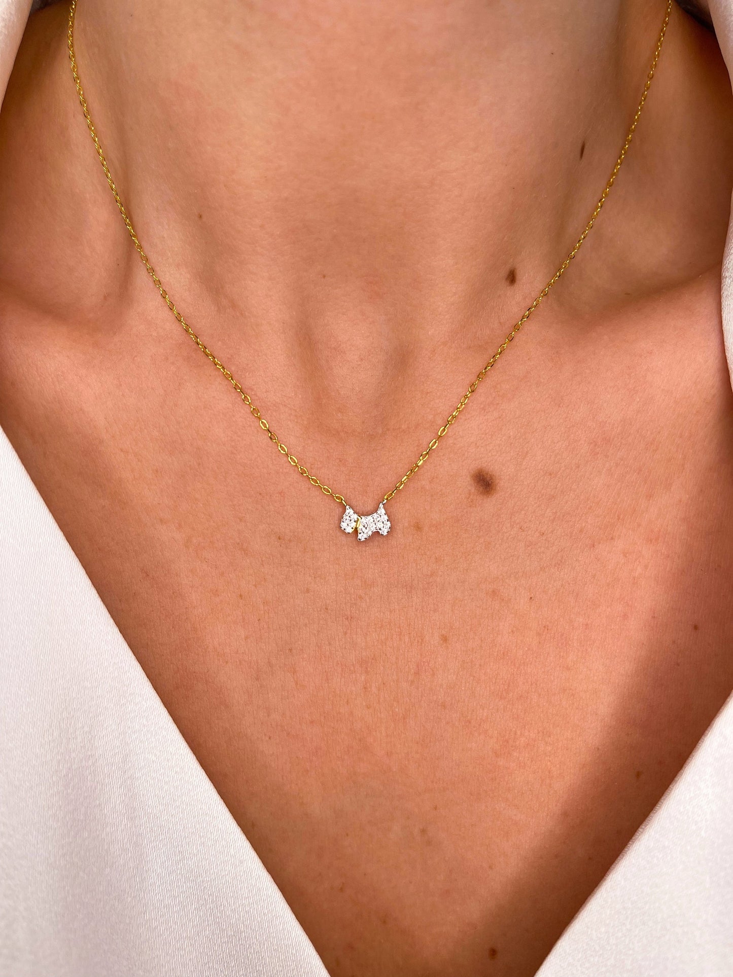 Cadena Doggy Plata 925