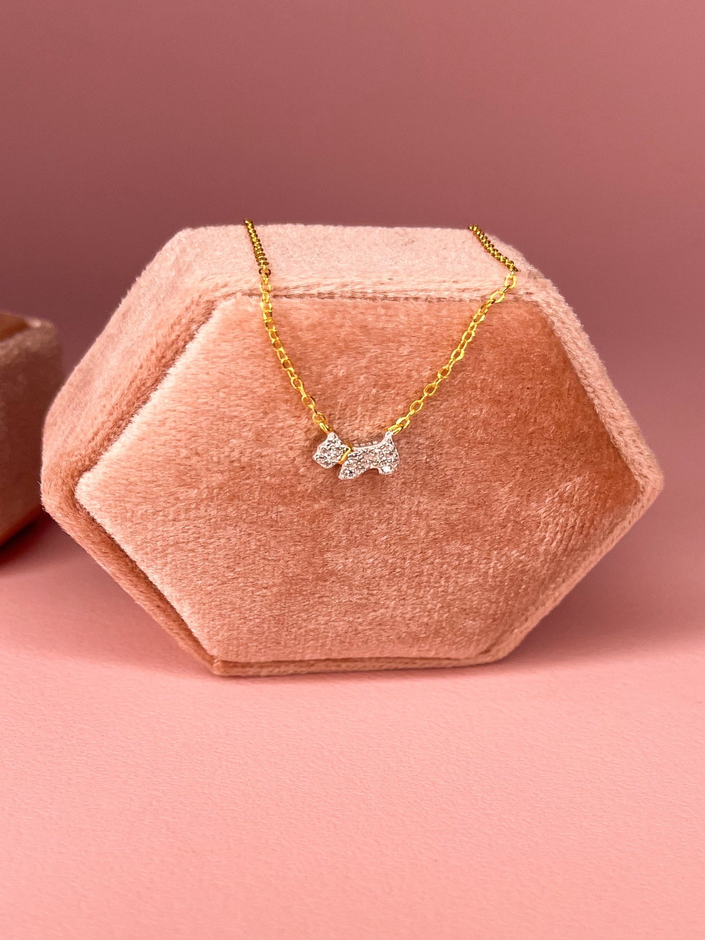 Cadena Doggy Plata 925