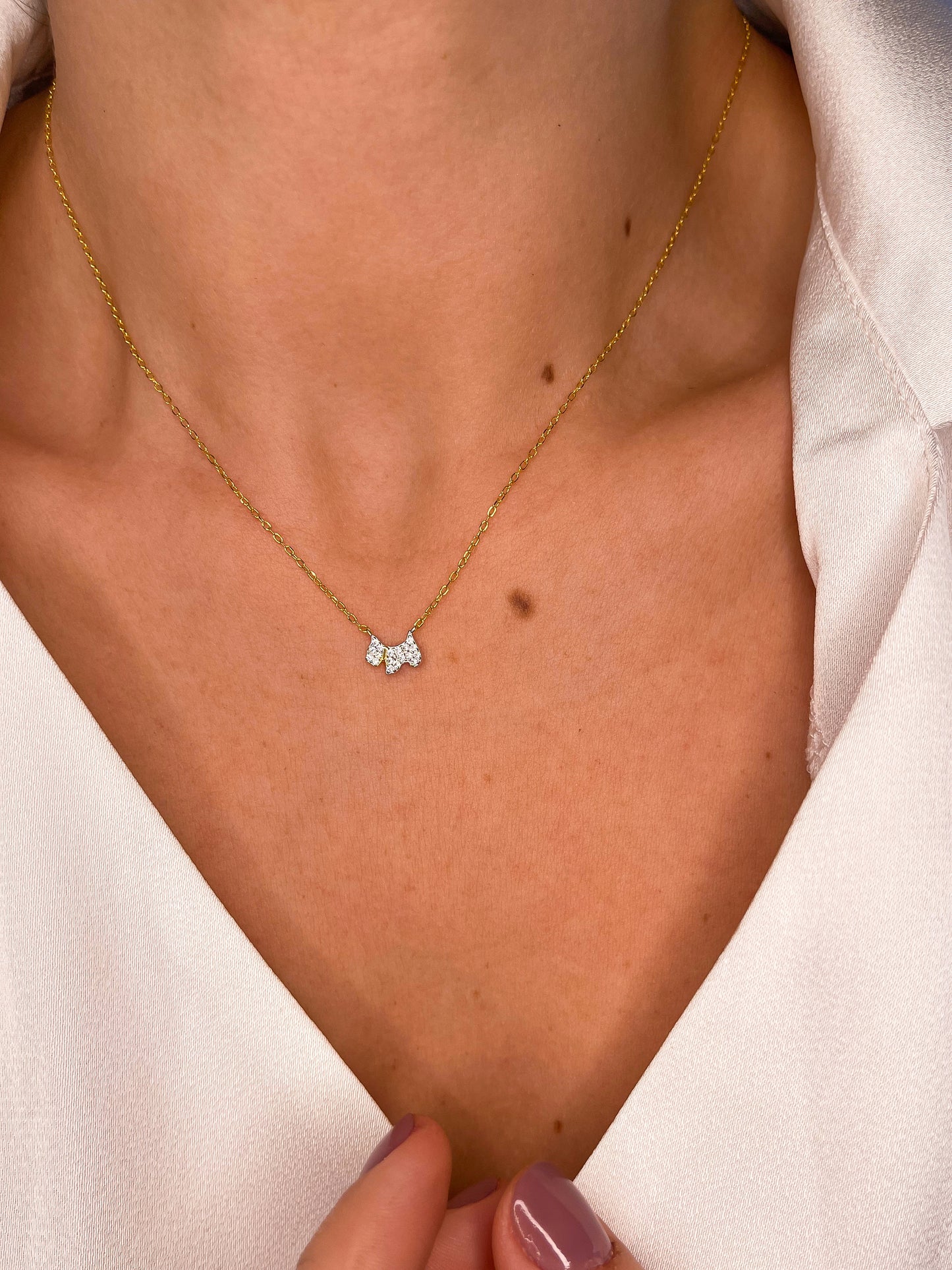 Cadena Doggy Plata 925